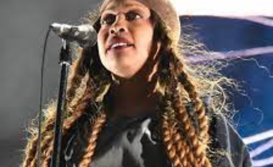 erykah badu net worth